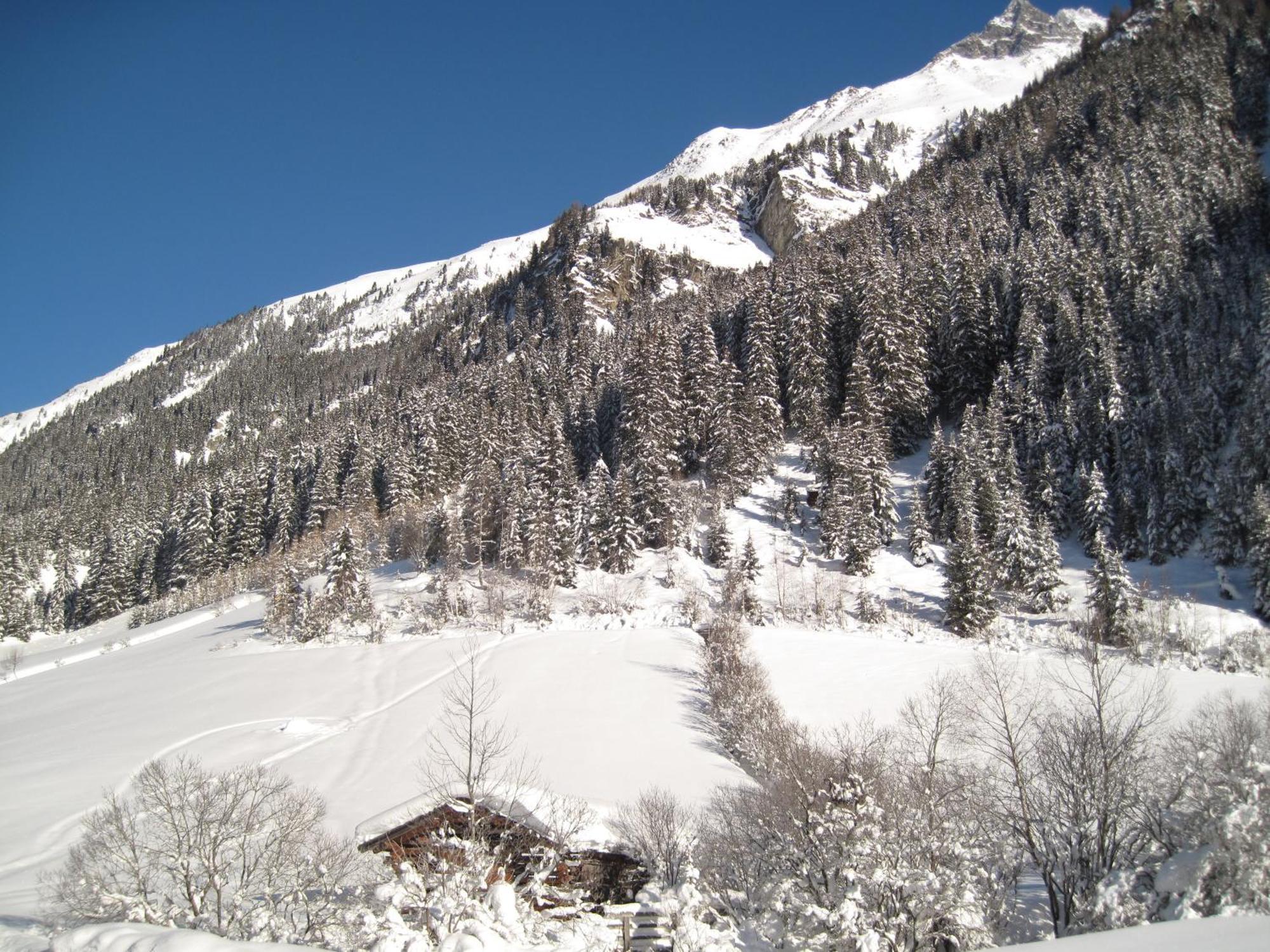 Alpina Appartement Sankt Leonhard im Pitztal Exterior photo